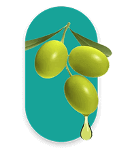New Zealand Olive Oil